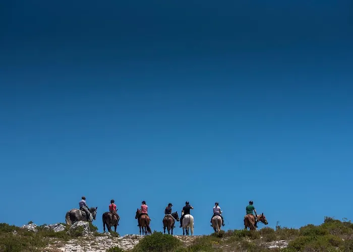 Hotel Lux Park - Hotel, Suites&residence Fátima